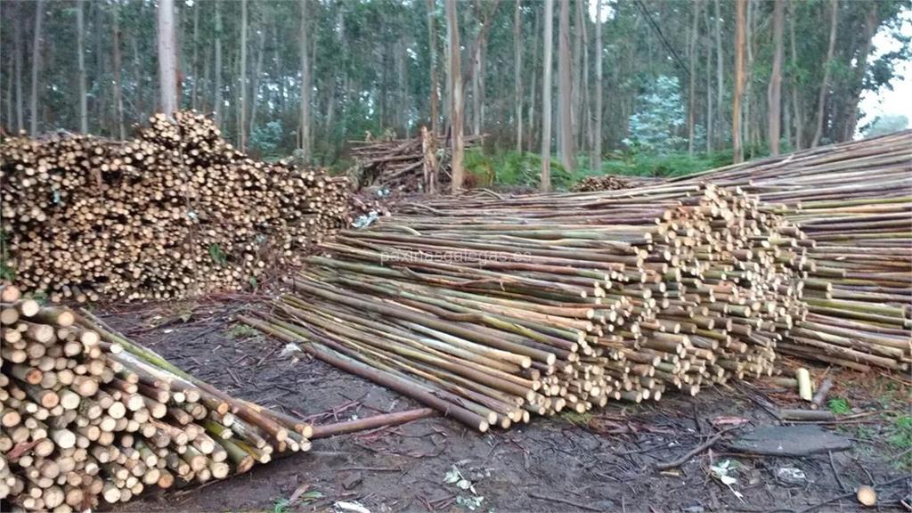 Lomba Forestal imagen 7