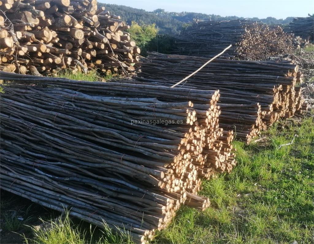 Lomba Forestal imagen 8