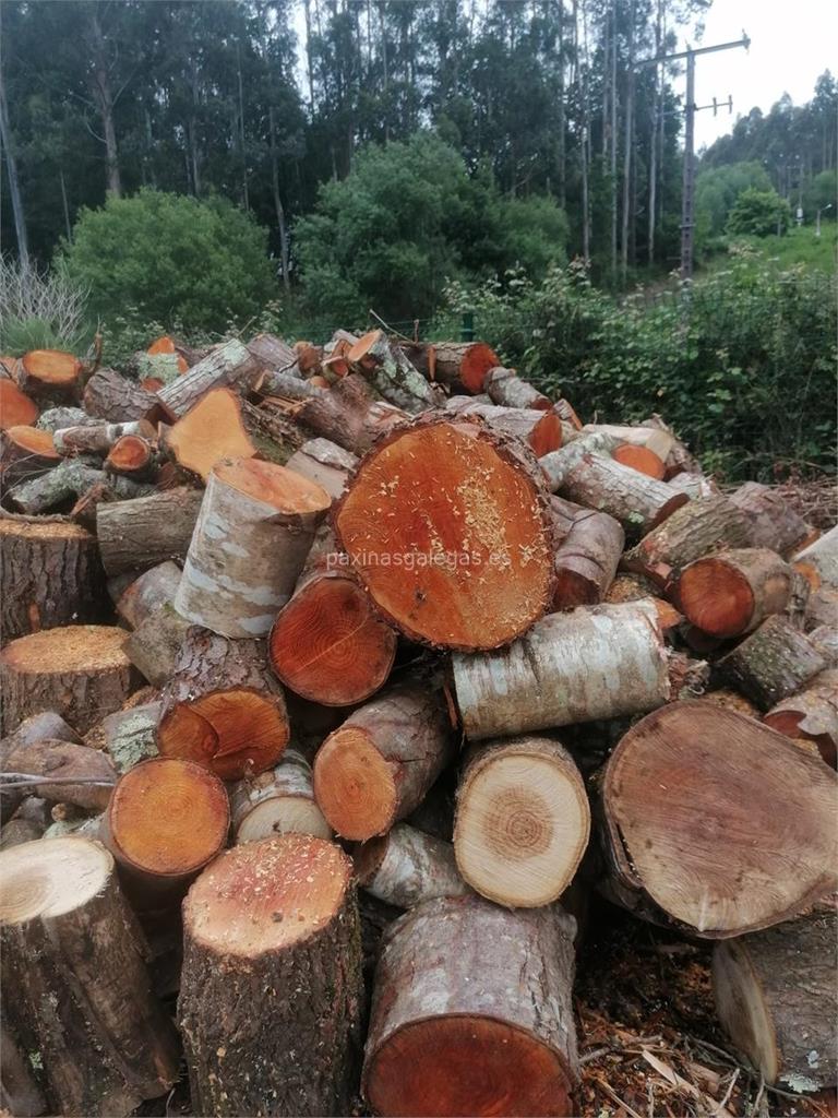 Lomba Forestal imagen 10