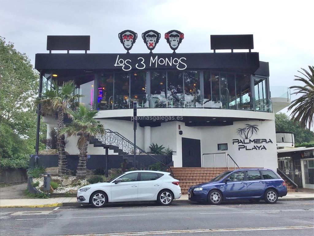 imagen principal Los 3 Monos Samil