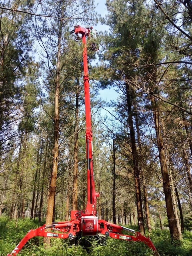 Loureiro Arboricultura Galicia imagen 14