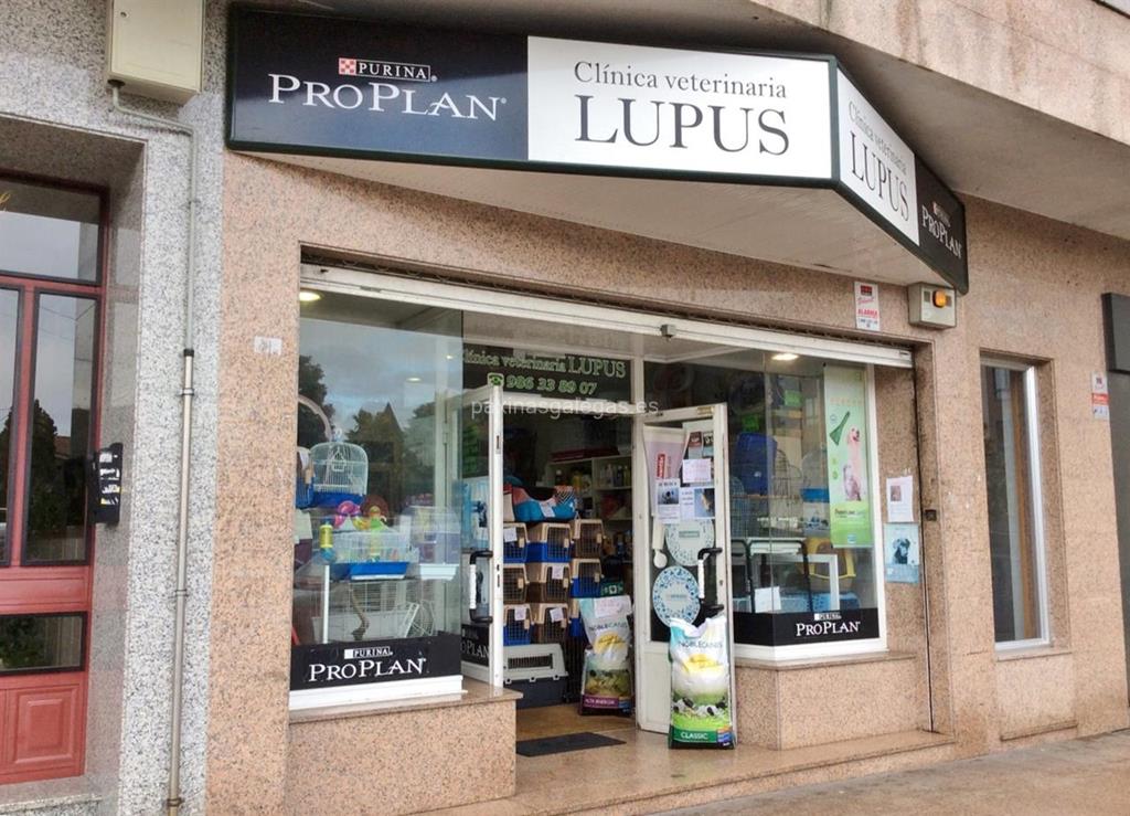 imagen principal Lupus