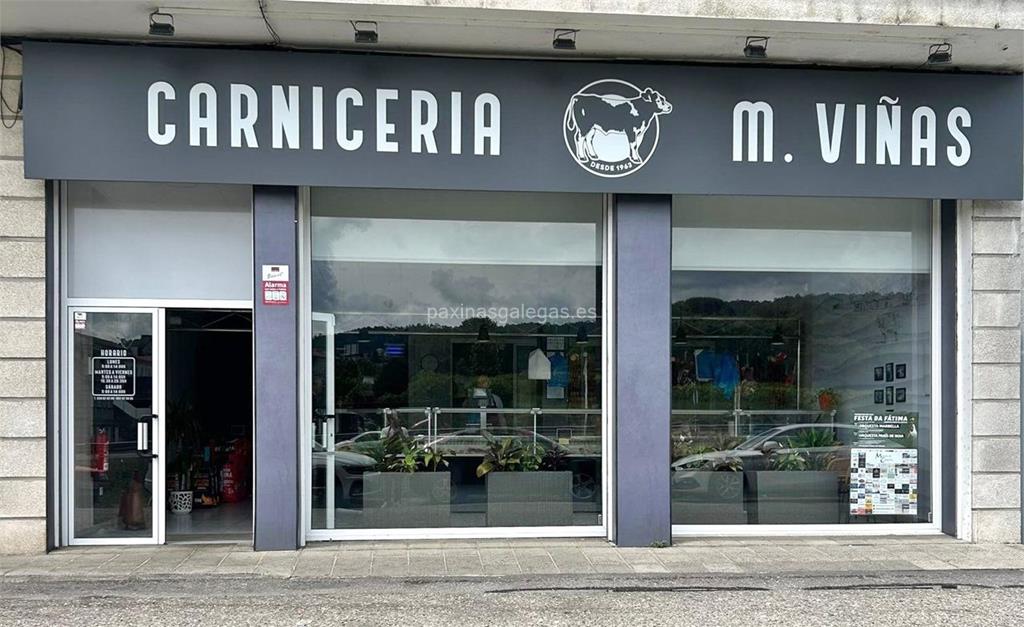 imagen principal M. Viñas
