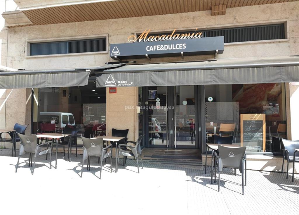 imagen principal Macadamia