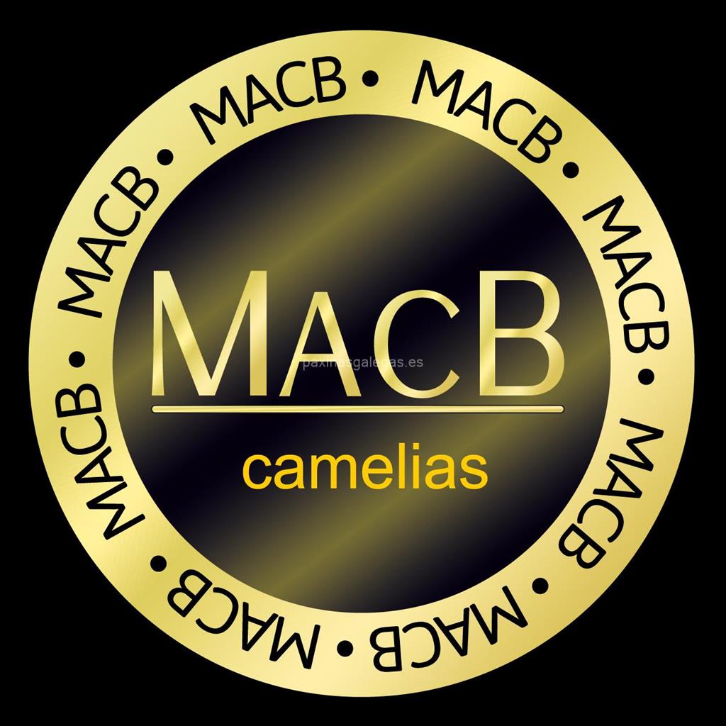 logotipo Macb (Icon)
