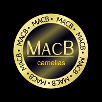 Logotipo Macb