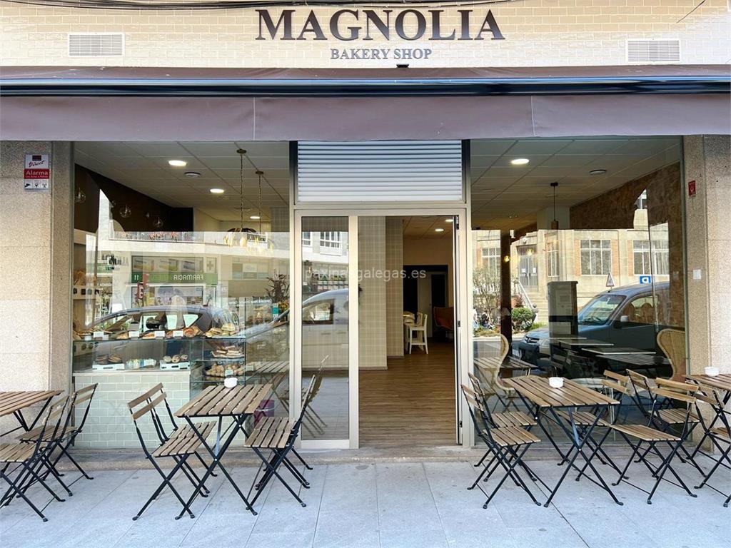imagen principal Magnolia