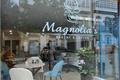 imagen principal Magnolias
