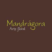 Logotipo Mandrágora