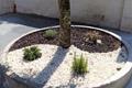 imagen 3 Mantenimiento de Jardines Marcos 