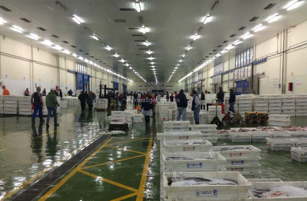 imagen principal Mar Import