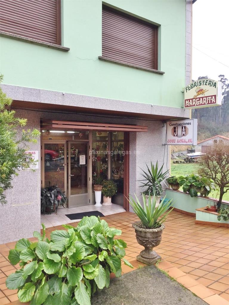 imagen principal Margarita