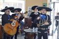 imagen principal Mariachis del Pacífico