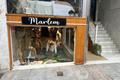 imagen principal Marlem Kids