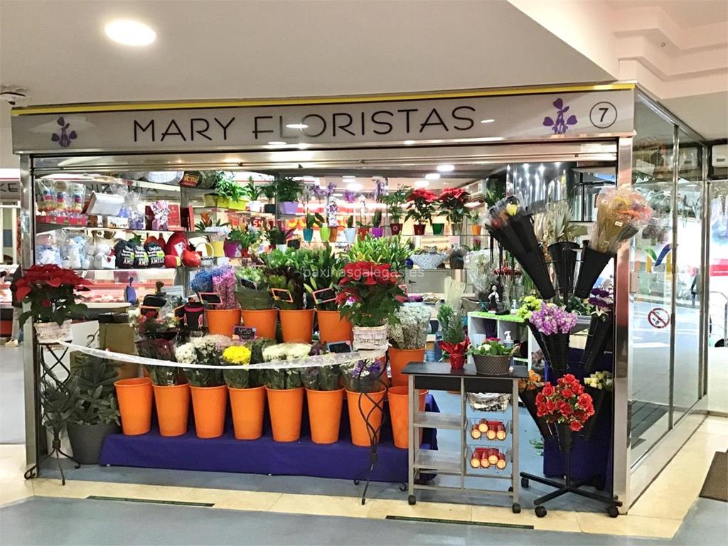 imagen principal Mary Floristas