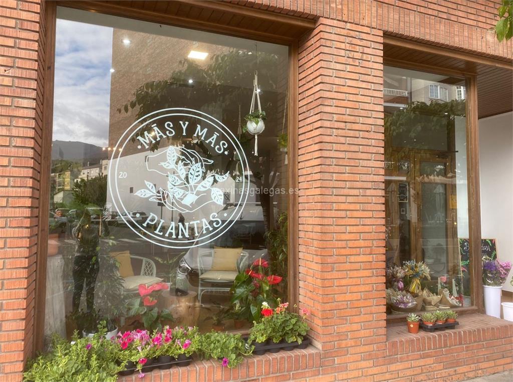 imagen principal Más y Más Plantas