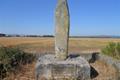 imagen principal Menhir A Pedra Alta