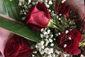 imagen 4 Merchy Floristas - Interflora