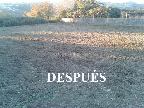MG imagen 8