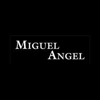 Logotipo Miguel Ángel