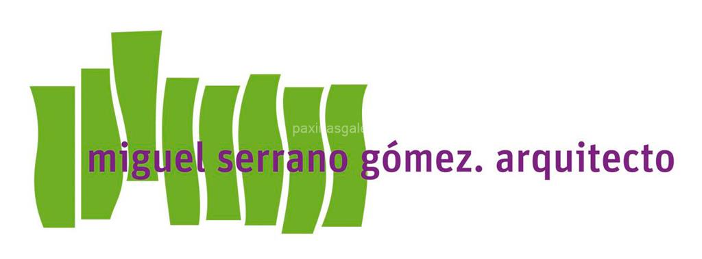logotipo Miguel Serrano Gómez
