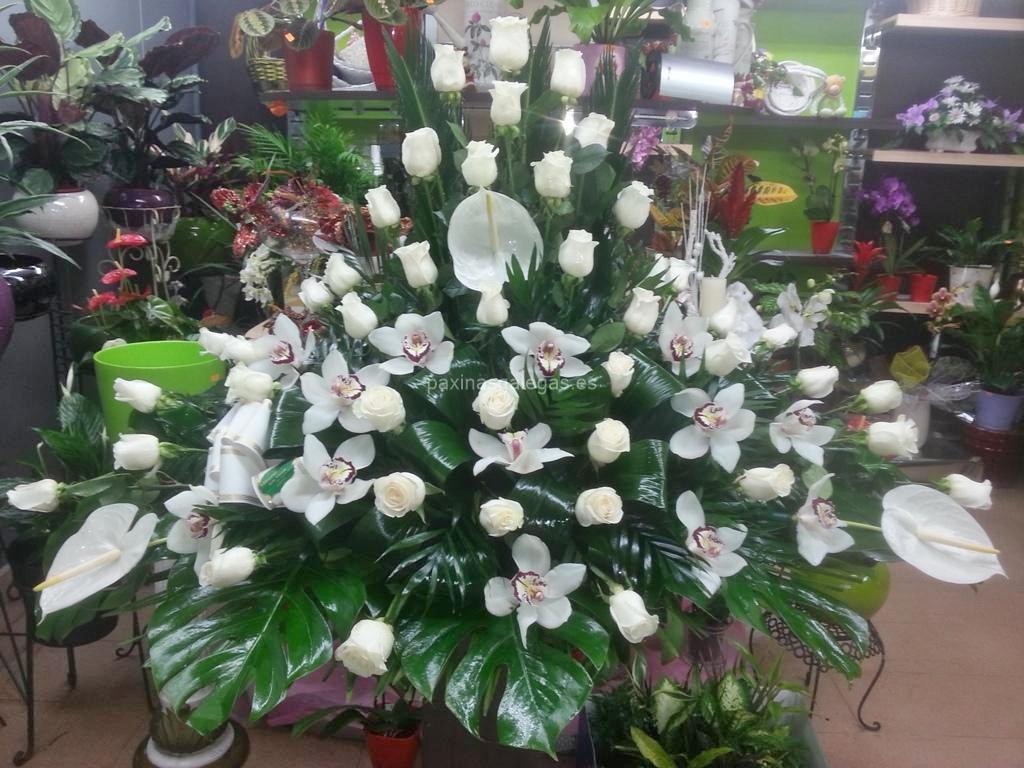 Milagros Albitos - Teleflora imagen 8