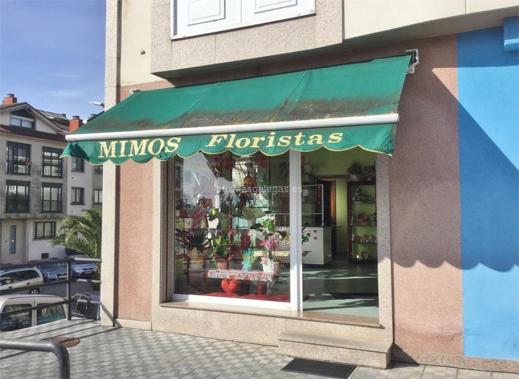 imagen principal Mimos Floristas - Interflora