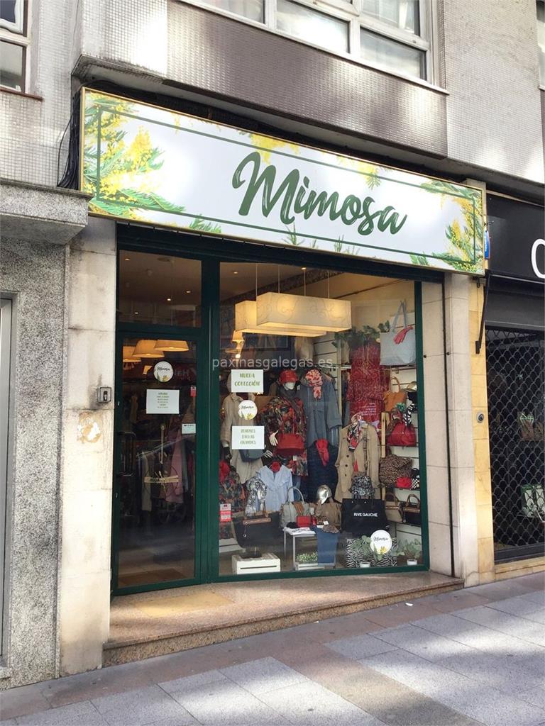 imagen principal Mimosa