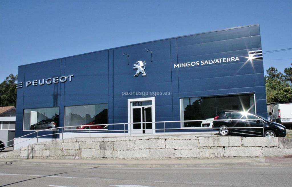 imagen principal Mingos Salvaterra - Peugeot