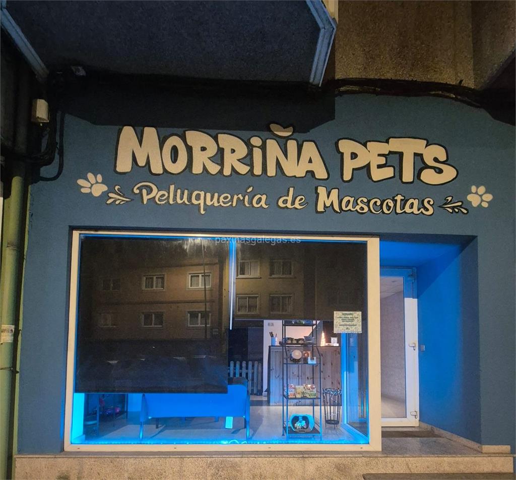 imagen principal Morriña Pets