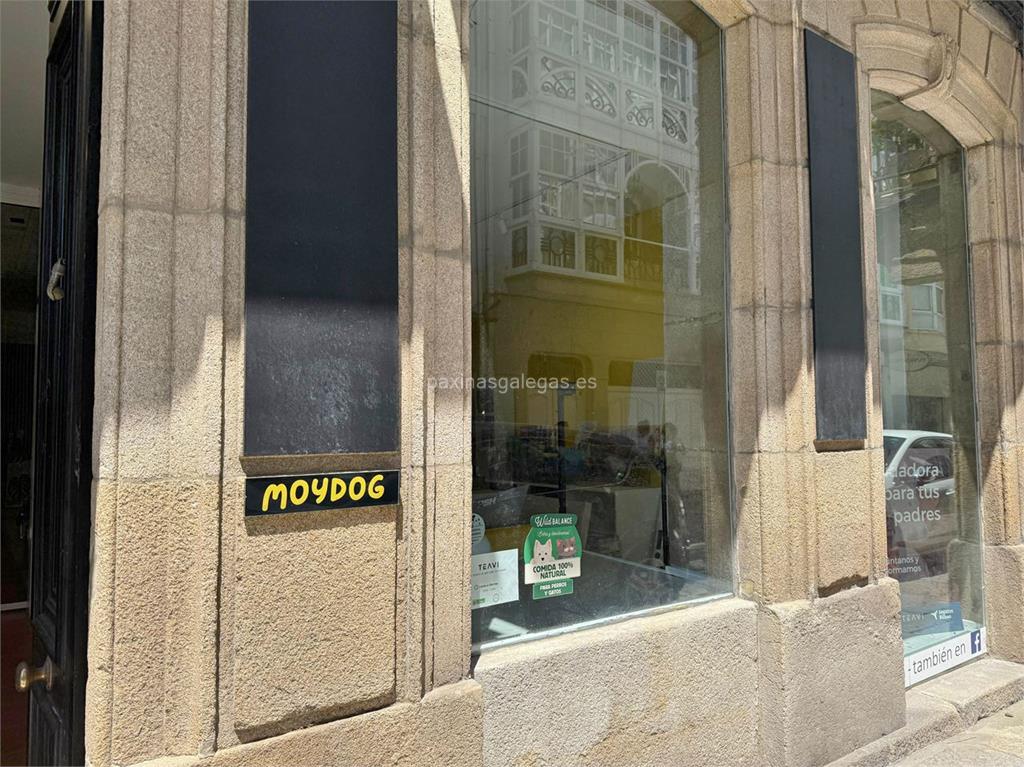 imagen principal Moydog