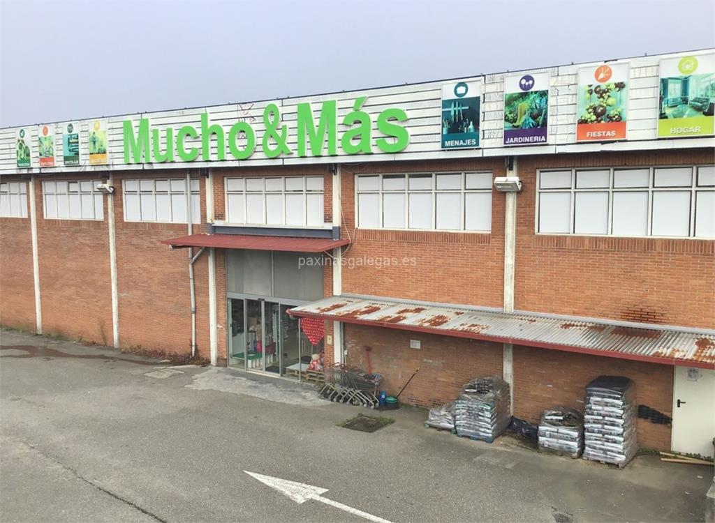 imagen principal Mucho & Más