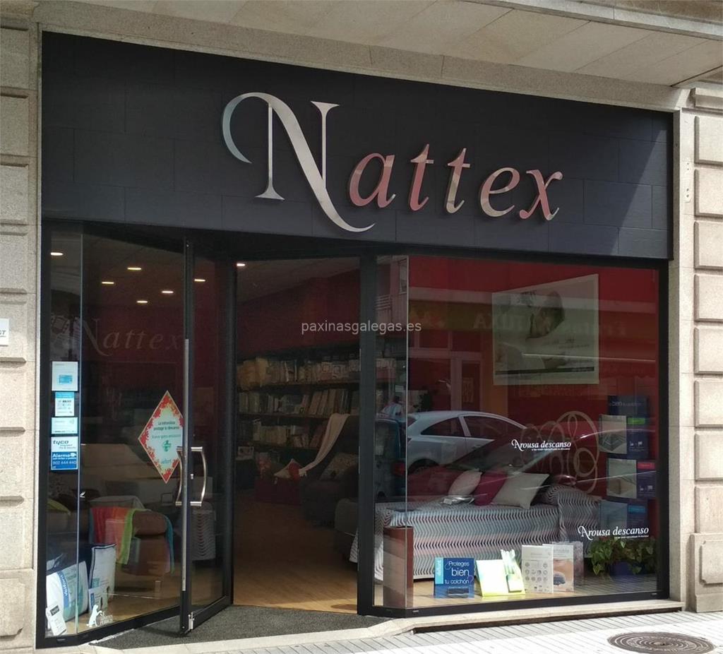 imagen principal Nattex