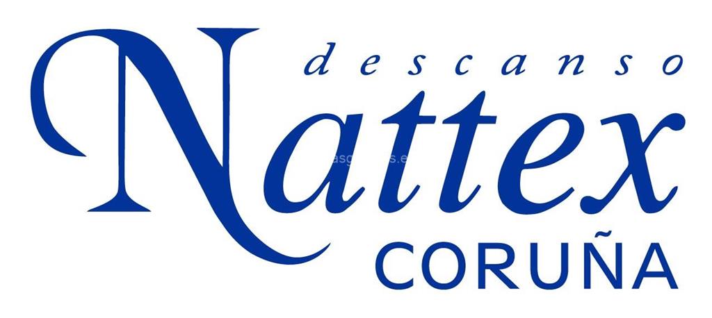logotipo Nattex