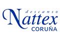 logotipo Nattex