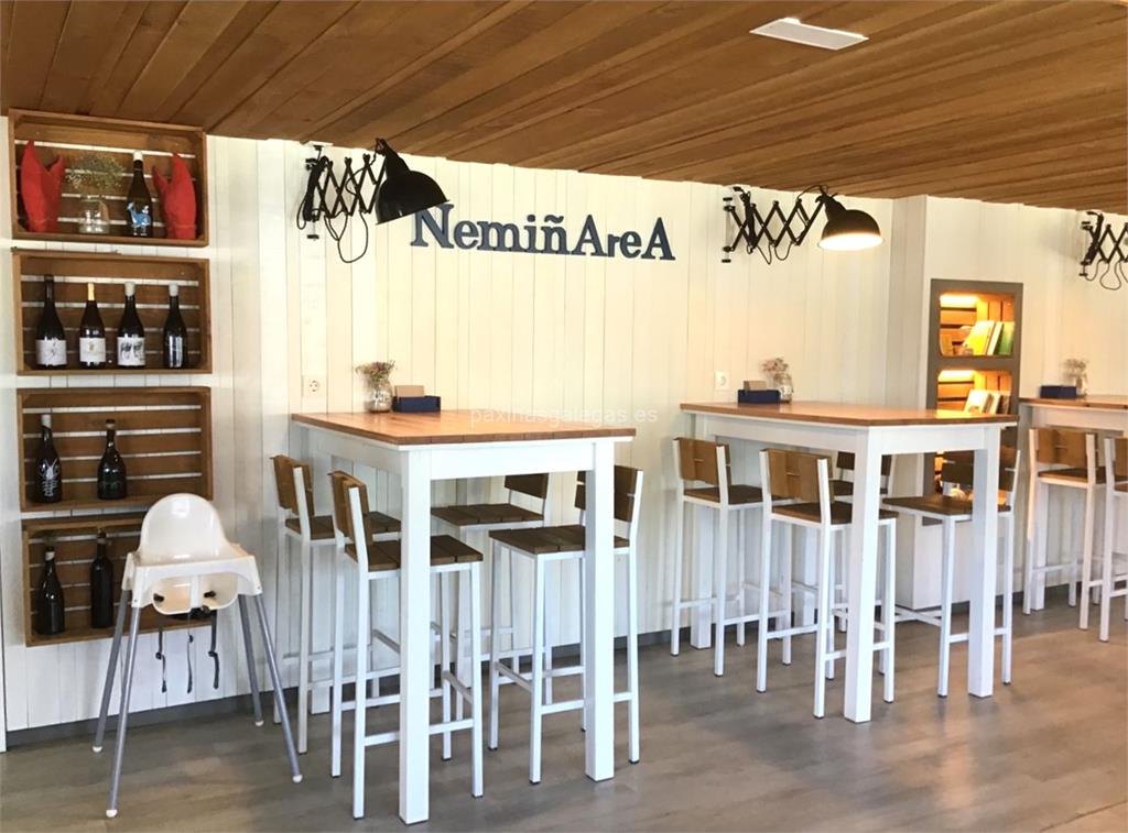 imagen principal Nemiñarea