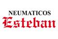 logotipo Neumáticos Esteban