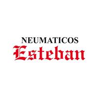 Logotipo Neumáticos Esteban