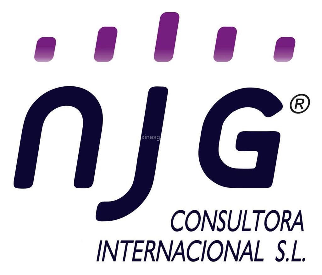 logotipo NJG Consultora Internacional, S.L.