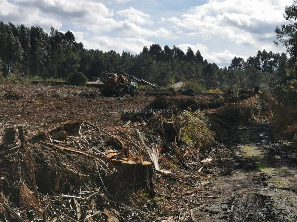 Norgal Forestal imagen 10