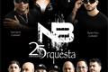 imagen principal Nueva Banda