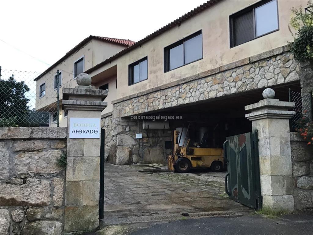 imagen principal O Aforado (Albariño)