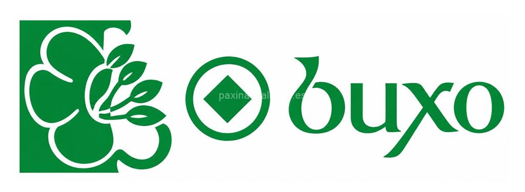 logotipo O Buxo