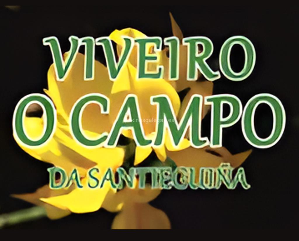 logotipo O Campo da Santieguiña