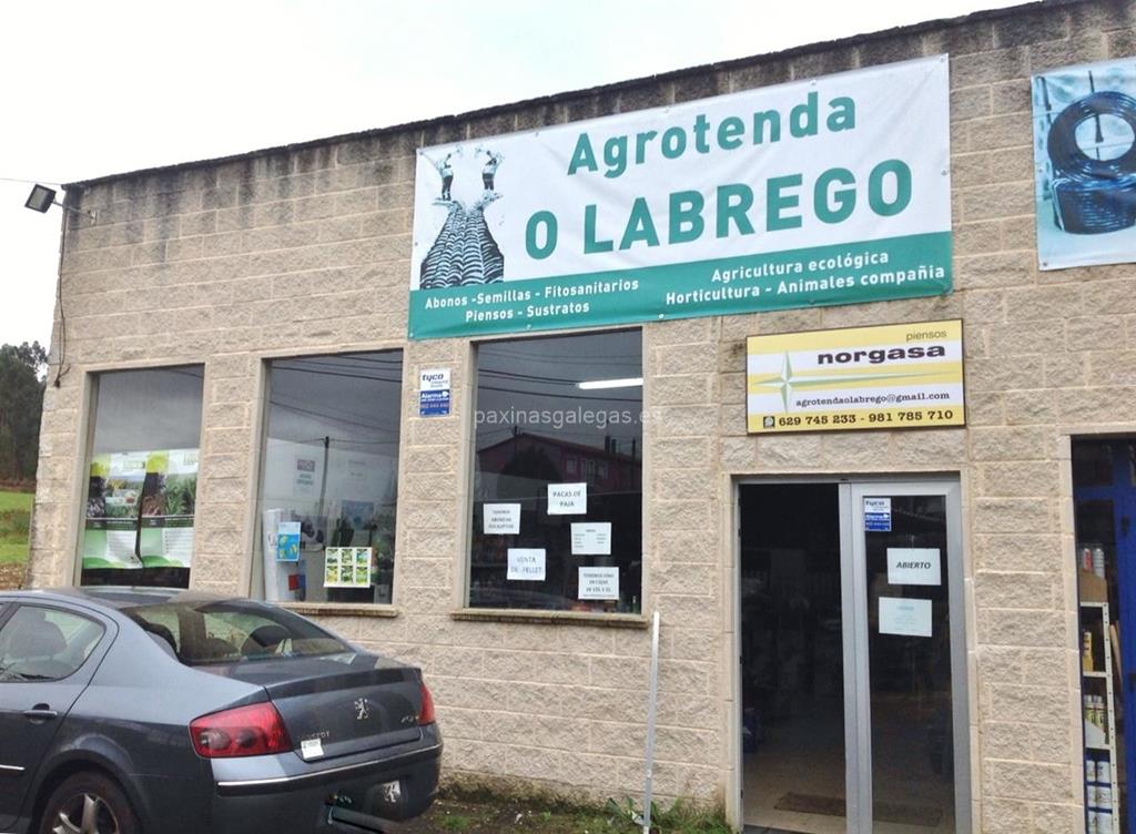 imagen principal O Labrego