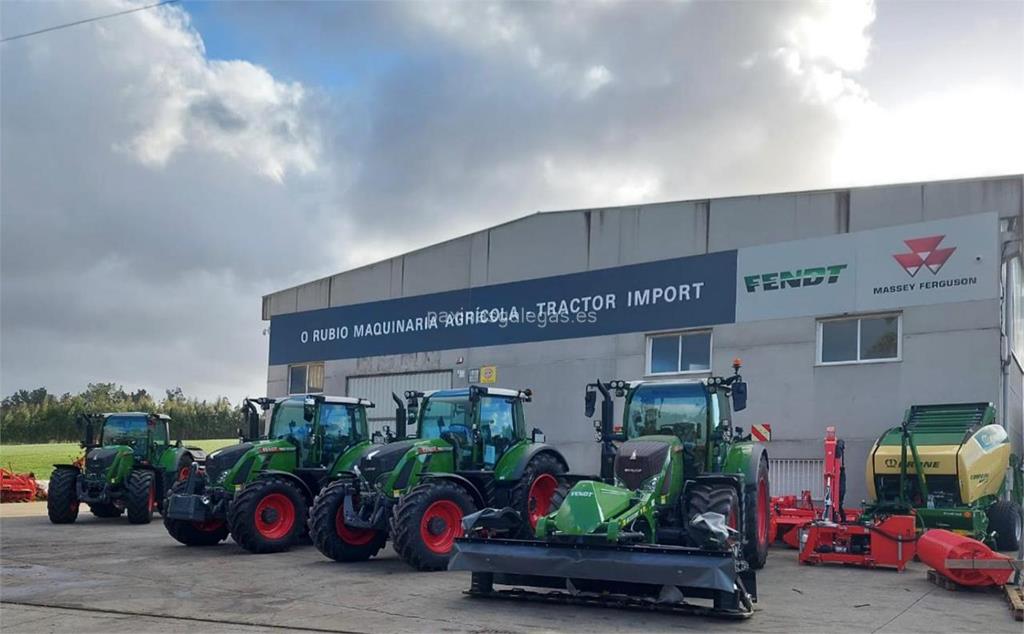 imagen principal O Rubio (Fendt)
