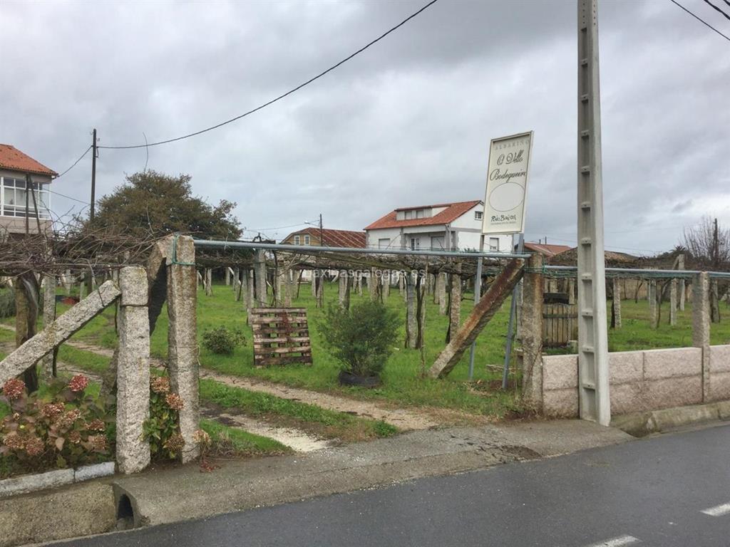 imagen principal O Vello Bodegueiro (Albariño)