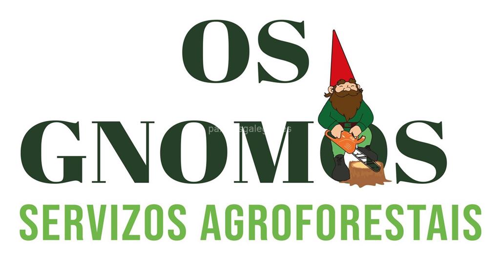 logotipo Os Gnomos