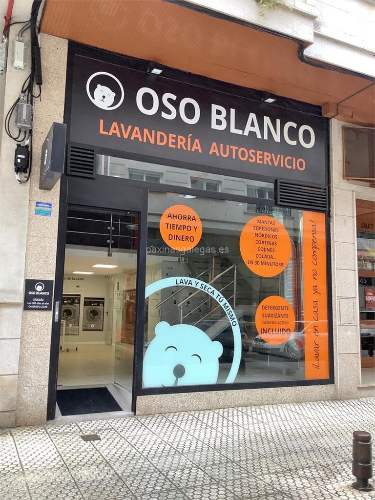 imagen principal Oso Blanco