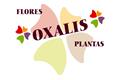 logotipo Oxalis